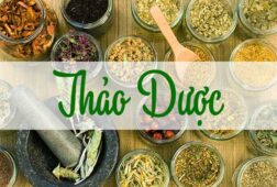 Cách điều trị gan nhiễm mỡ dứt điểm theo từng cấp độ bằng thảo dược tự nhiên