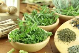 Cây chó đẻ – Thuốc nam trị viêm gan B dứt điểm bạn đã biết?