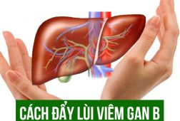 Bài thuốc gia truyền hỗ trợ điều trị viêm gan b