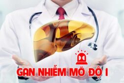 Gan nhiễm mỡ độ 1 là gì? Cách trị bệnh hiệu quả