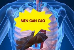 Bệnh men gan tăng – Lời cảnh báo từ sức khỏe
