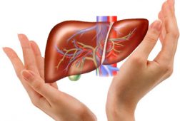 Tổng hợp các loại thuốc hạ men gan tốt nhất